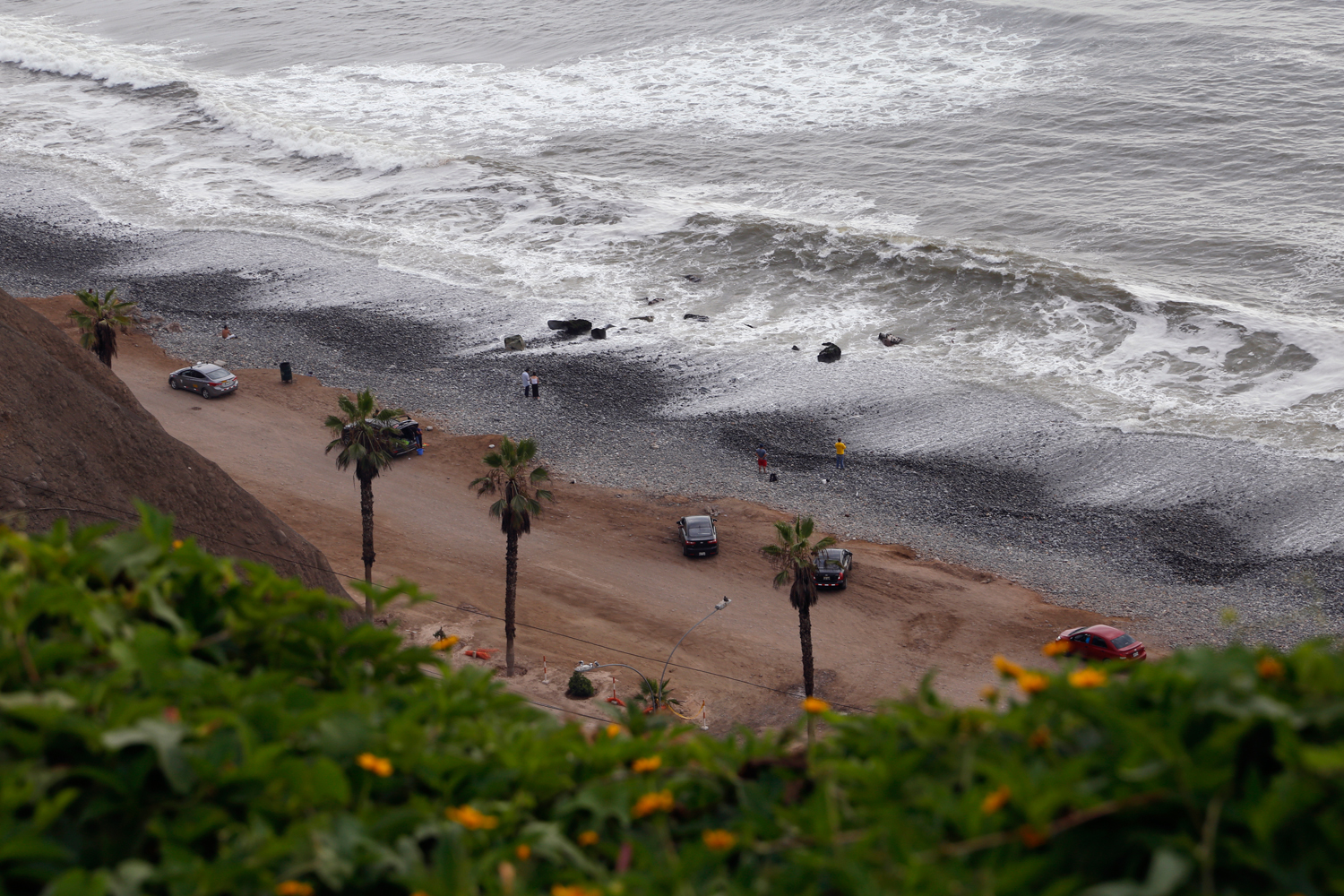 As seen from above, a number of limousines are parked along a dirt road leading to a gravel beach. Framed by the yellow blossoms of a cliff side bush and a row of palm trees, a handful of people are staring into the distance as grey, foamy waves crash onto the grey beach.